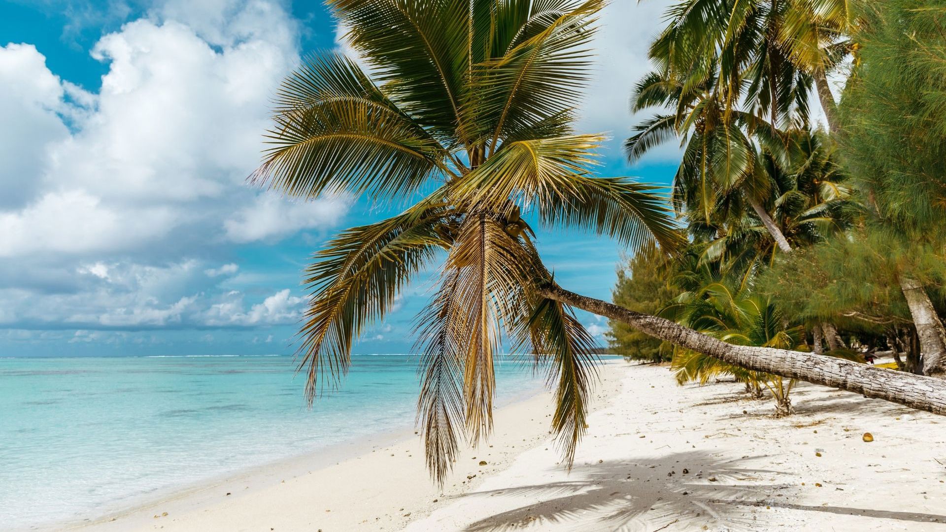 Tamanu Beach, Aitutaki Cook Islands
