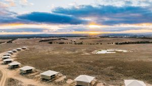 Monarto Safari Resort glamping
