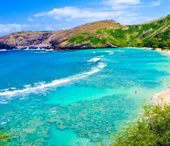 Snorkeling Bay In Oahu Hawaii