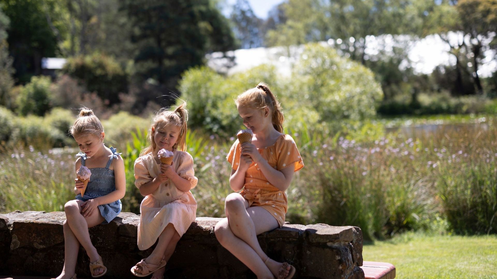 Christmas Hills Raspberry Farm 138845 CR Tourism Australia