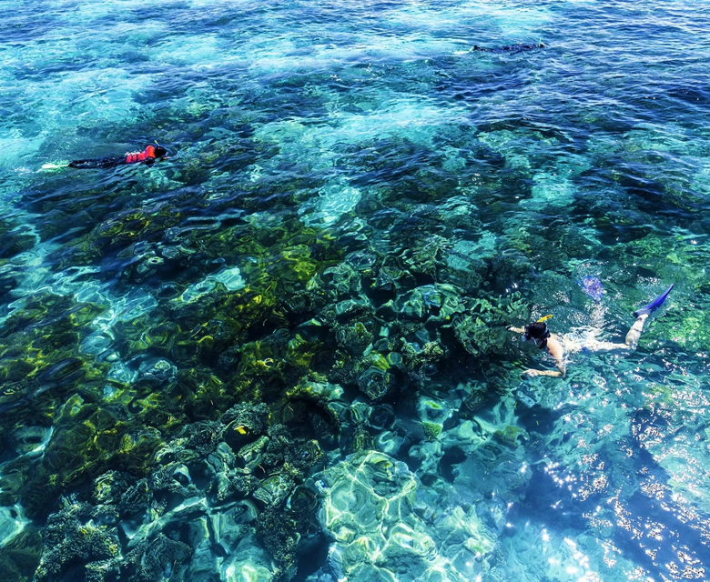 Cairns, Australia, Snorkeling The Great Barrier Reef