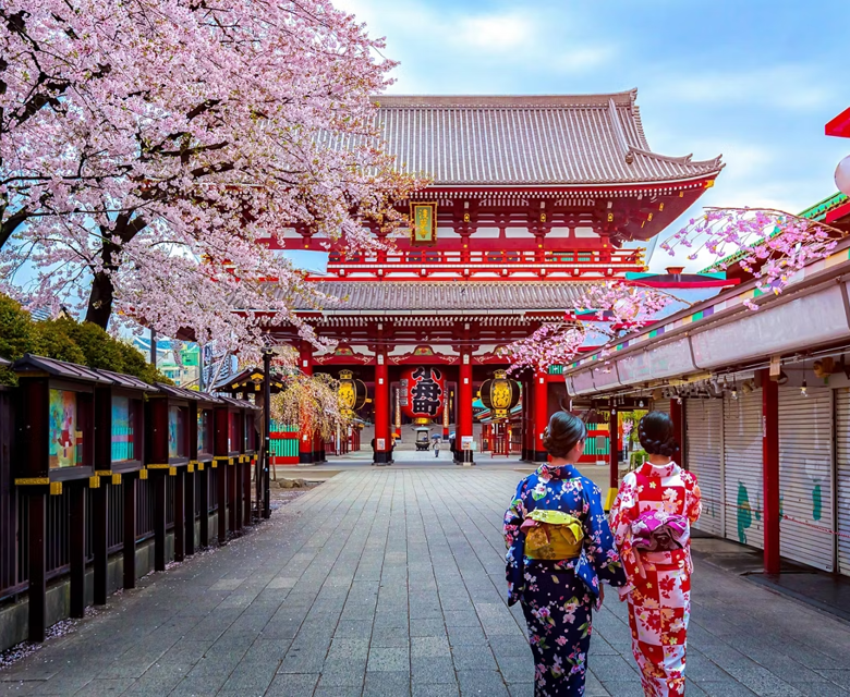 Tokyo Geishas