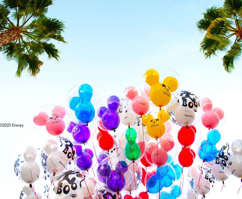 Disneyland Balloons