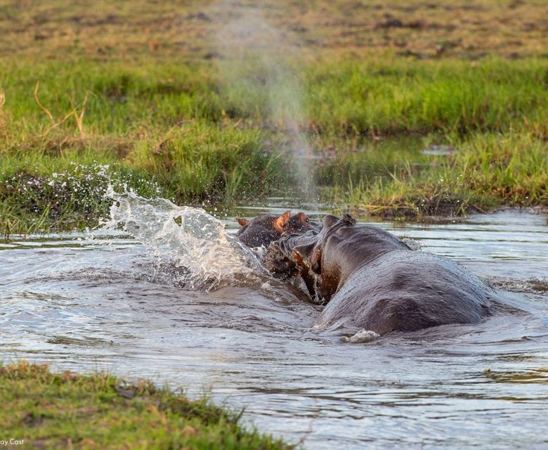 Sunway Botswana Moremi. Image credit: Bruce Taylor