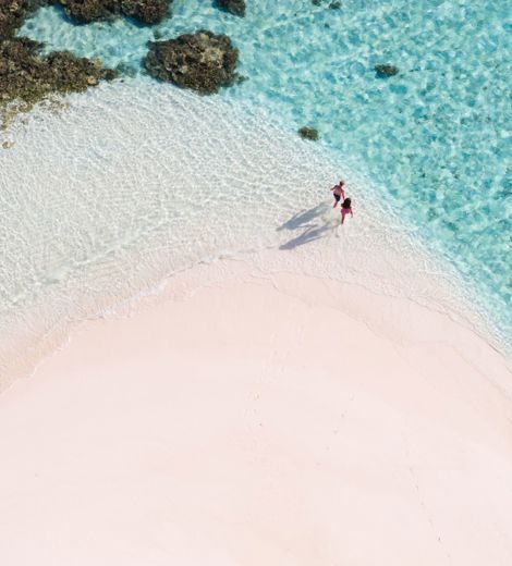 Ariel view of two people walking into the ocean
