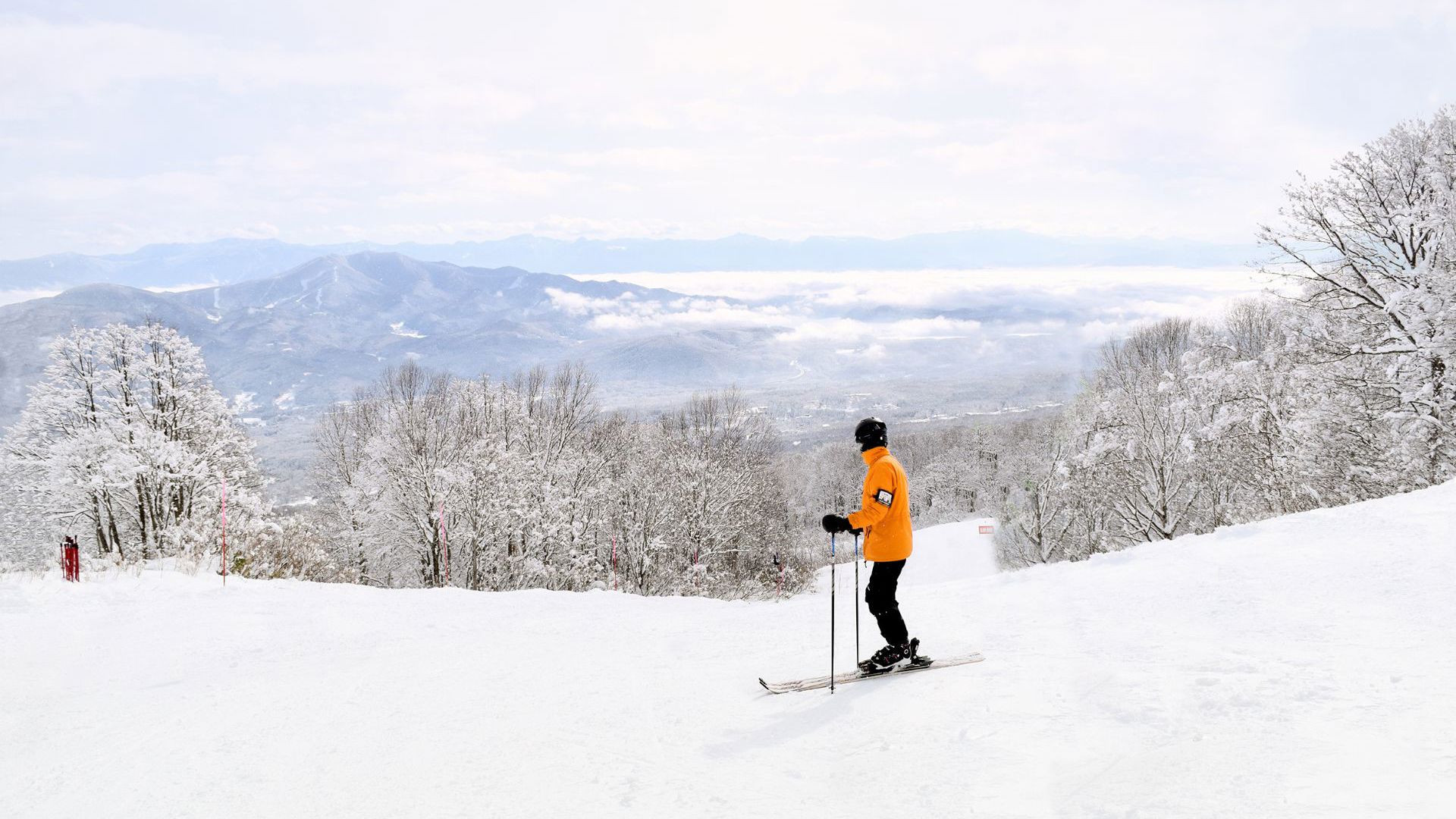 Myoko Kogen Travel & Co