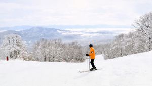Myoko Kogen Travel & Co