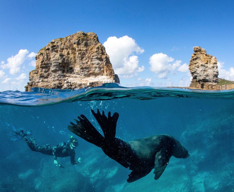 Dive Jervis Bay, Jervis Bay 169933 © Destination NSW