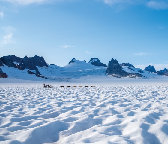 Alaska Dog Sledding