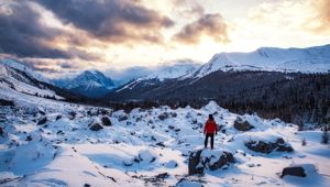 Authentic Canadian Winter Wonderland