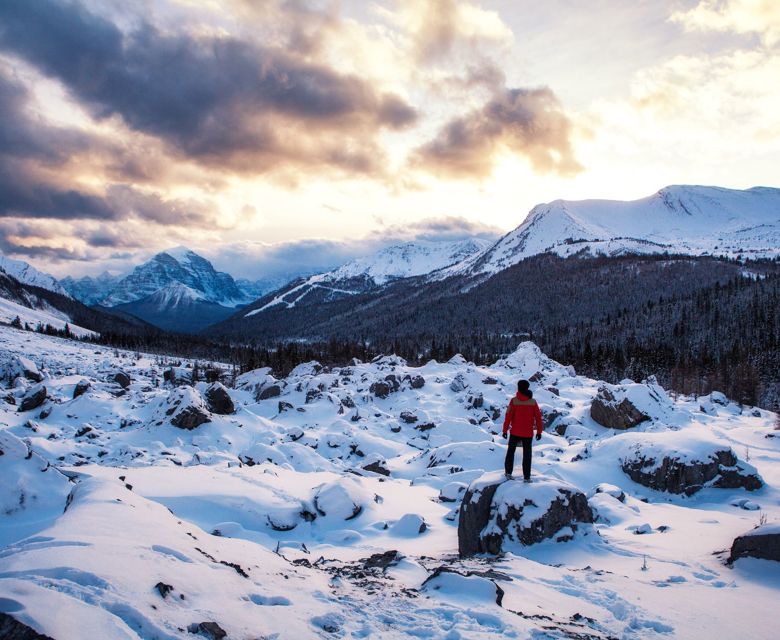 Authentic Canadian Winter Wonderland