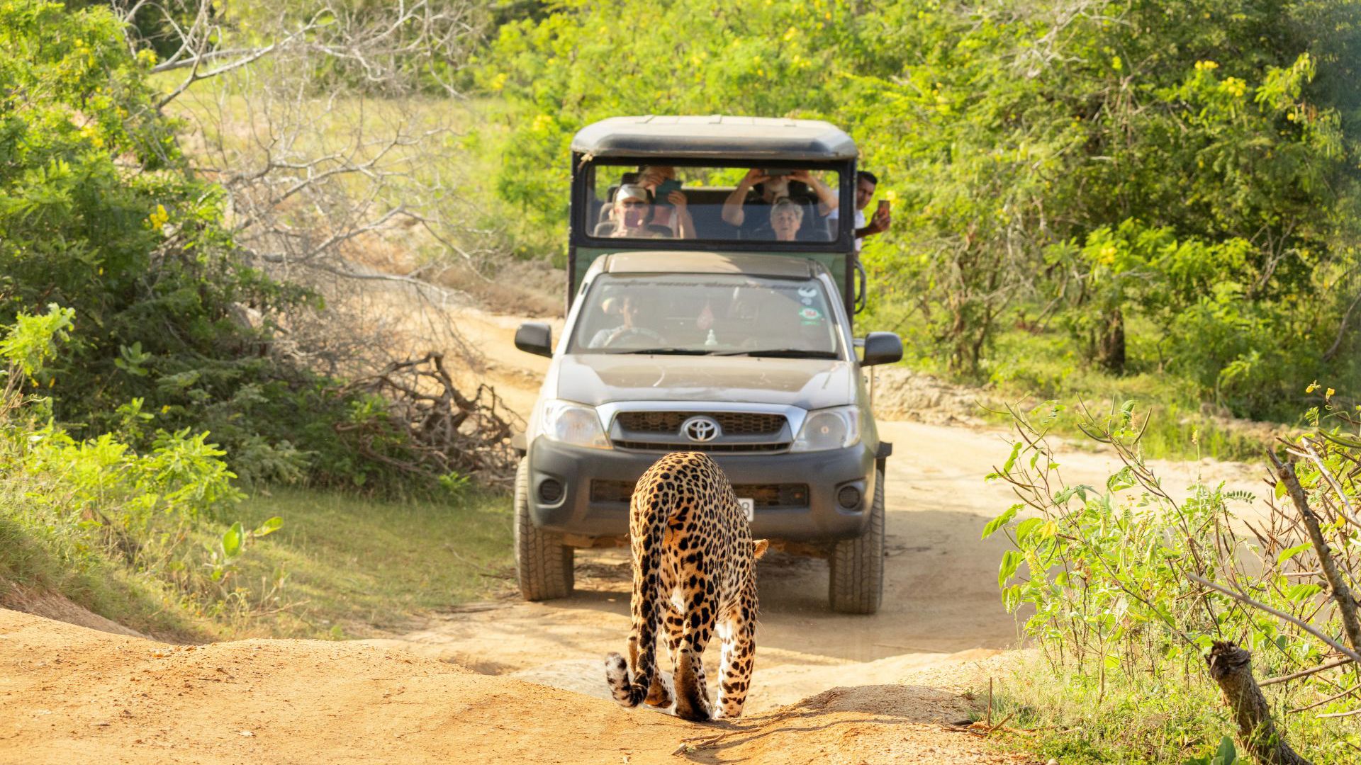 Intrepid Premium Sri Lanka