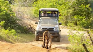 Intrepid Premium Sri Lanka