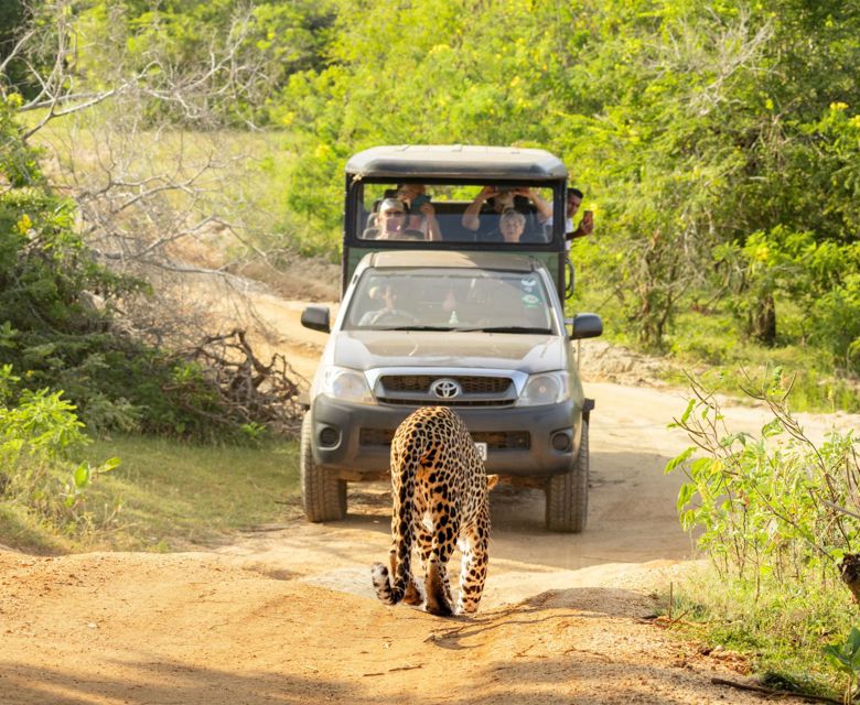 Intrepid Premium Sri Lanka