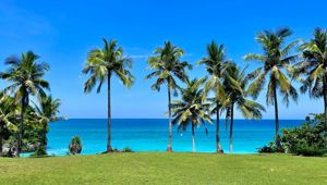 Sumba Island - Beach View 