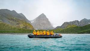 Seabourn South Georgia Cooper Bay Zodiac Cruise