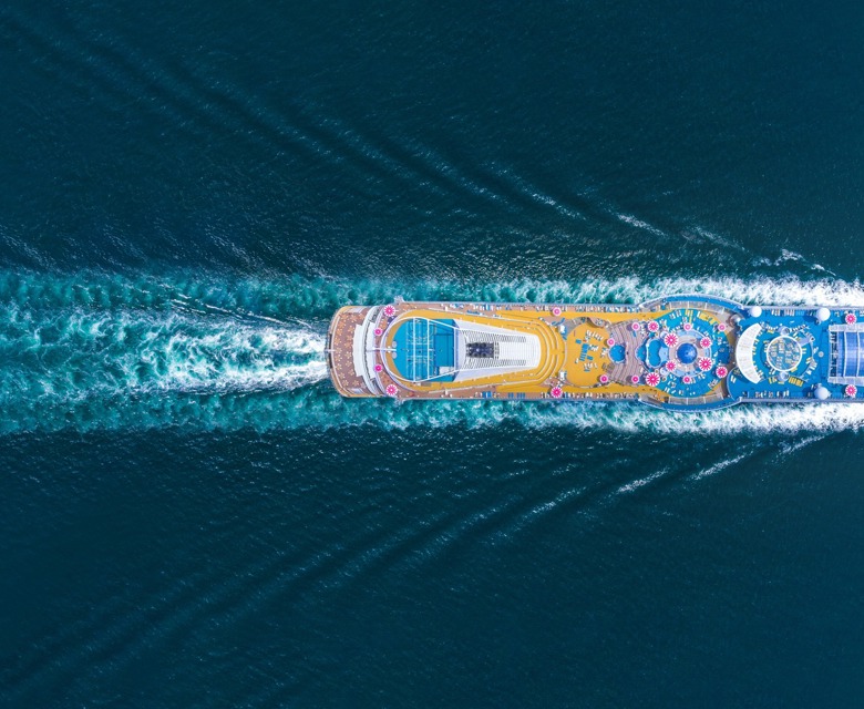 Cruise Quiz