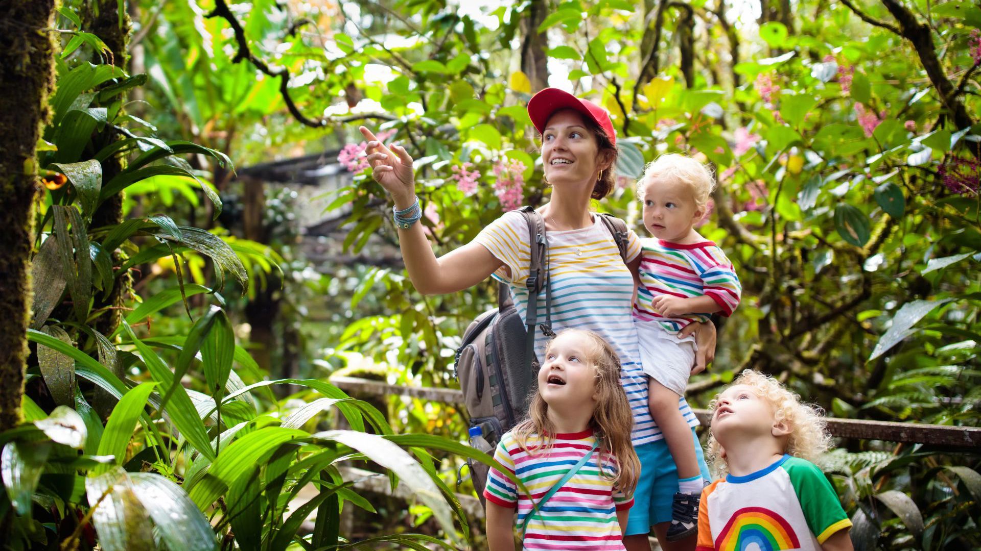 Family trekking in Borneo Jungle