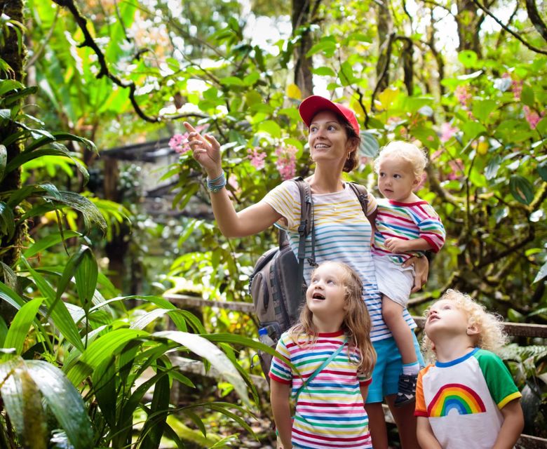 Family trekking in Borneo Jungle