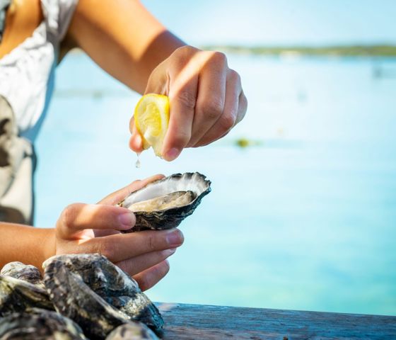 Oyster Farm Tours Eyre Peninsula 1069833 CR Tourism Australia And SATC