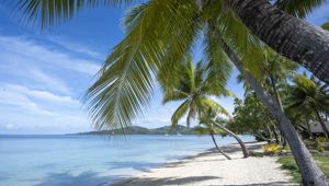 Plantation Island Resort - Beach