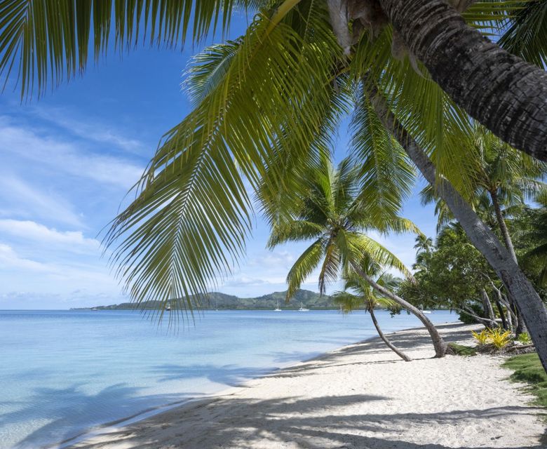 Plantation Island Resort - Beach