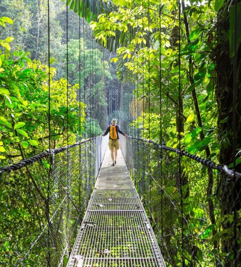 Costa Rica Jungle