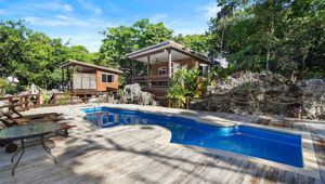 Taloa Heights - tree top studio