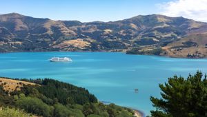Silver Muse in Akaroa, New Zealand