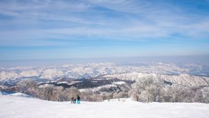 Nozawa Onsen Travel & Co