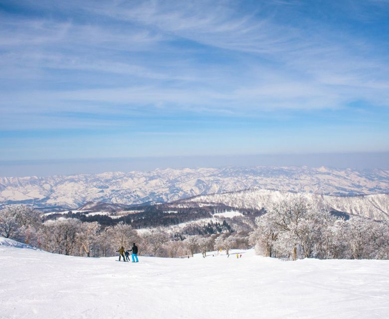 Nozawa Onsen Travel & Co