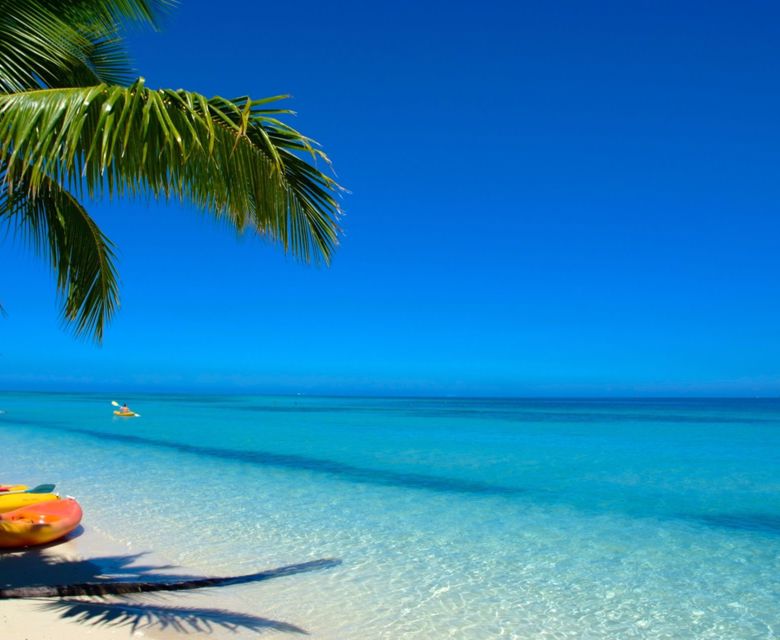 Fiji – New Year Sale 2026