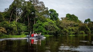 Amazon Cuxiumuni