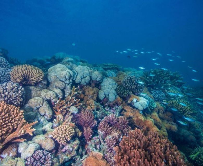 Great Keppel Island Reef