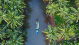 Kerala - Total Holiday Options
