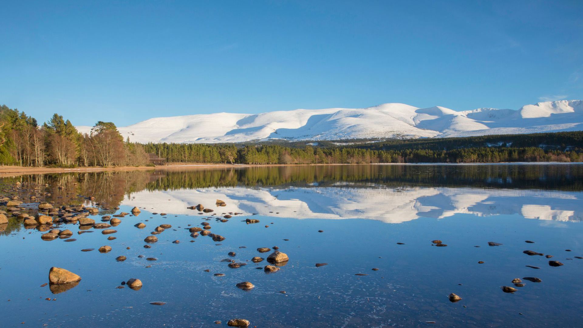 Cairngorms National Park © VisitScotland & Kenny Lam