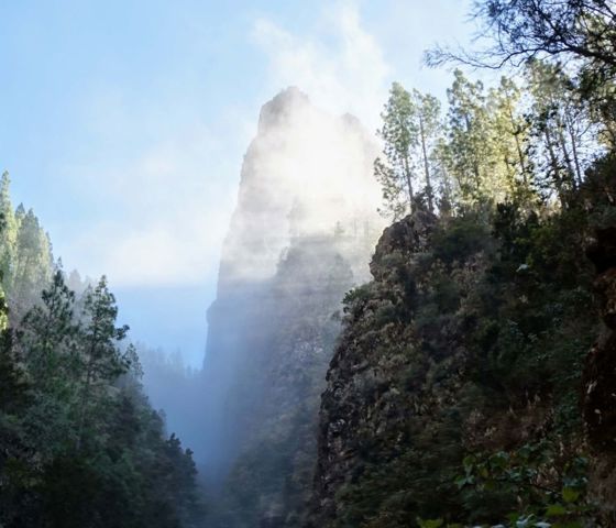 Tenerife Canary Islands Hiszpania © Regent Seven Seas 