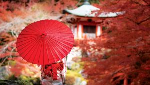 Autumn in Japan