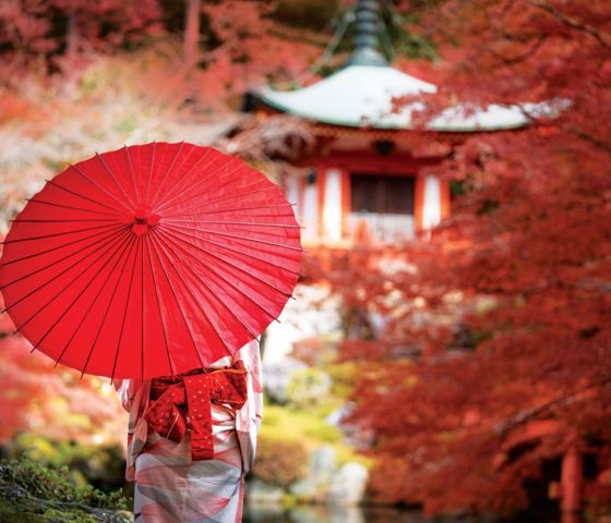 Autumn in Japan