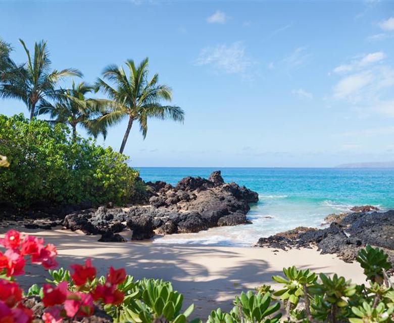 ASIA & NORTH AMERICA BUSINESS PREMIER™ FLIGHT SALE