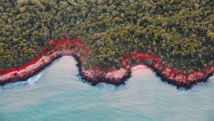 Rainbow Beach Tiwi Islands credit Tourism NT Elise Cook