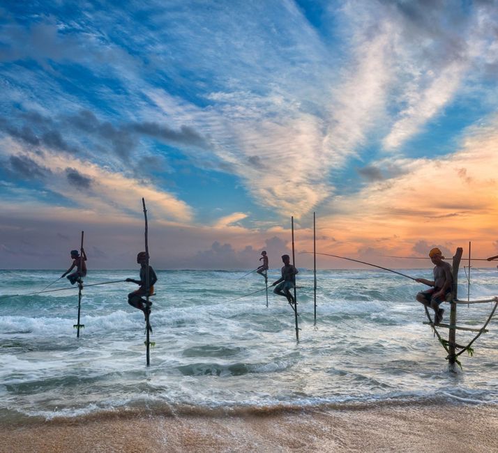 Sri Lanka Stilt Fishers