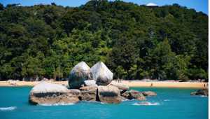 Nelson Abel Tasman Waka