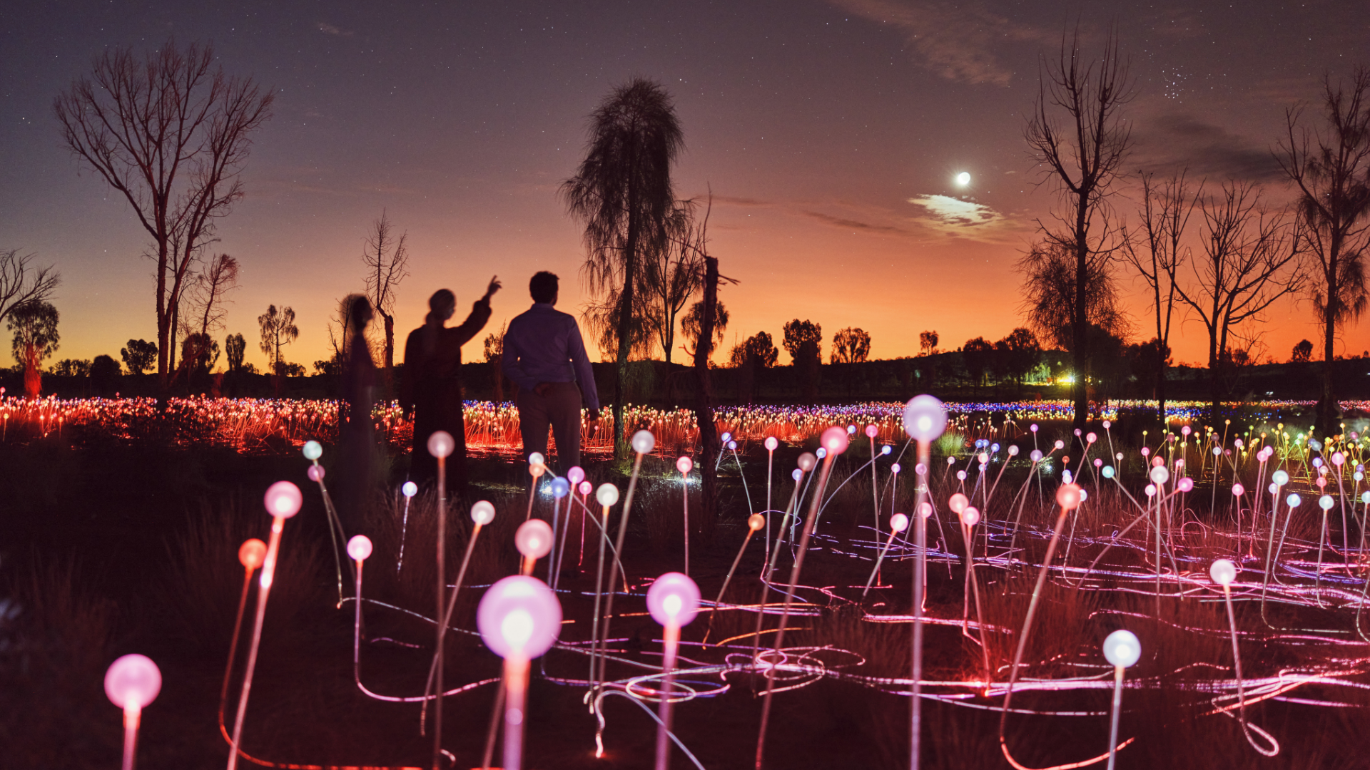 136177 56 Spectacular Field Of Light Must Credit Tourism NT Tourism Australia