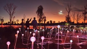 136177 56 Spectacular Field Of Light Must Credit Tourism NT Tourism Australia