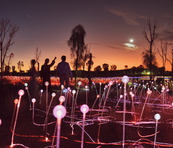 136177 56 Spectacular Field Of Light Must Credit Tourism NT Tourism Australia