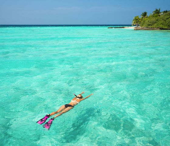 Snorkelling