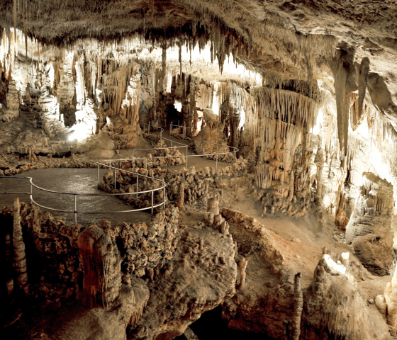 Dragon Caves © MSC Rights