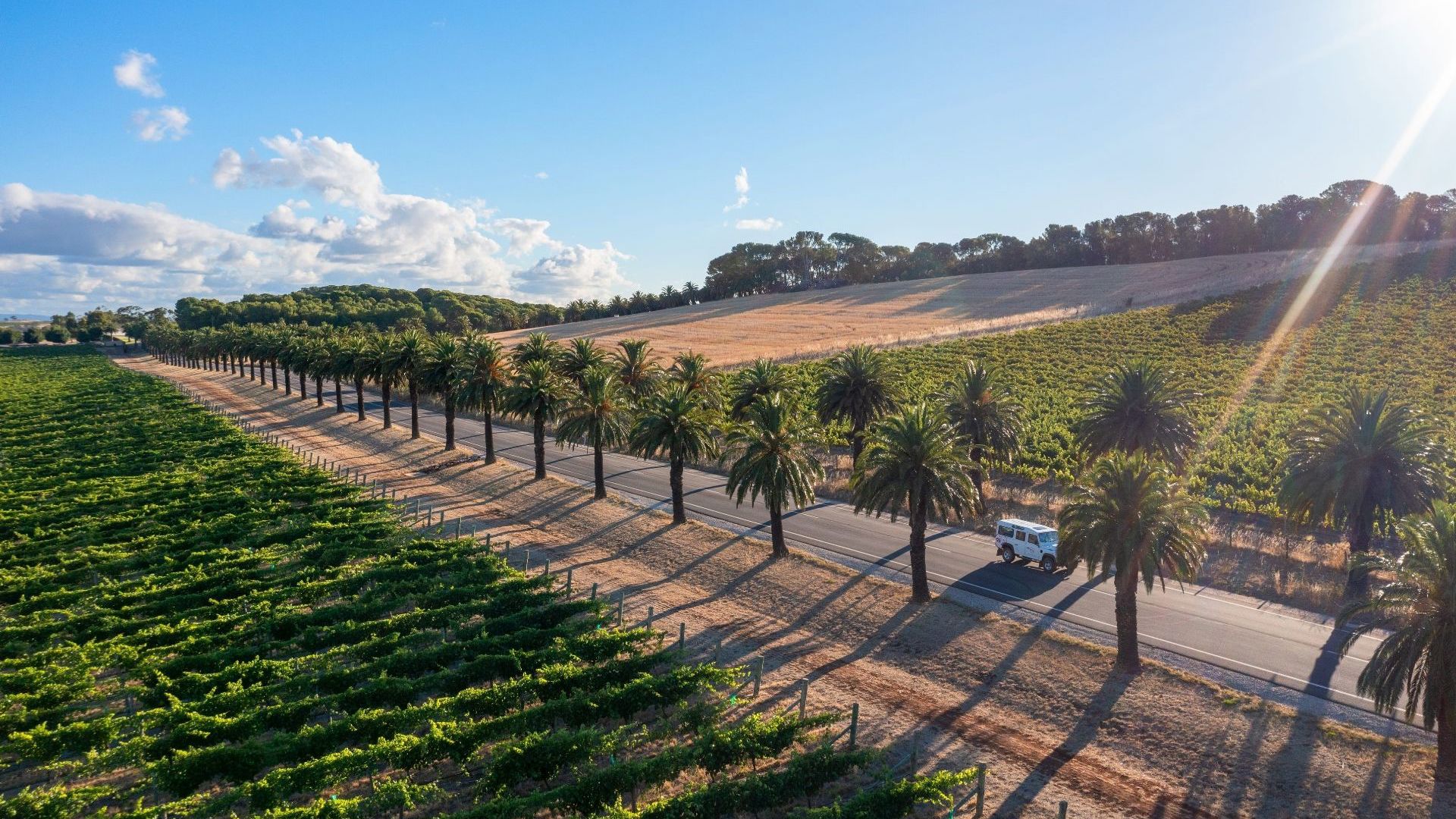 Barossa
