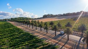 Barossa